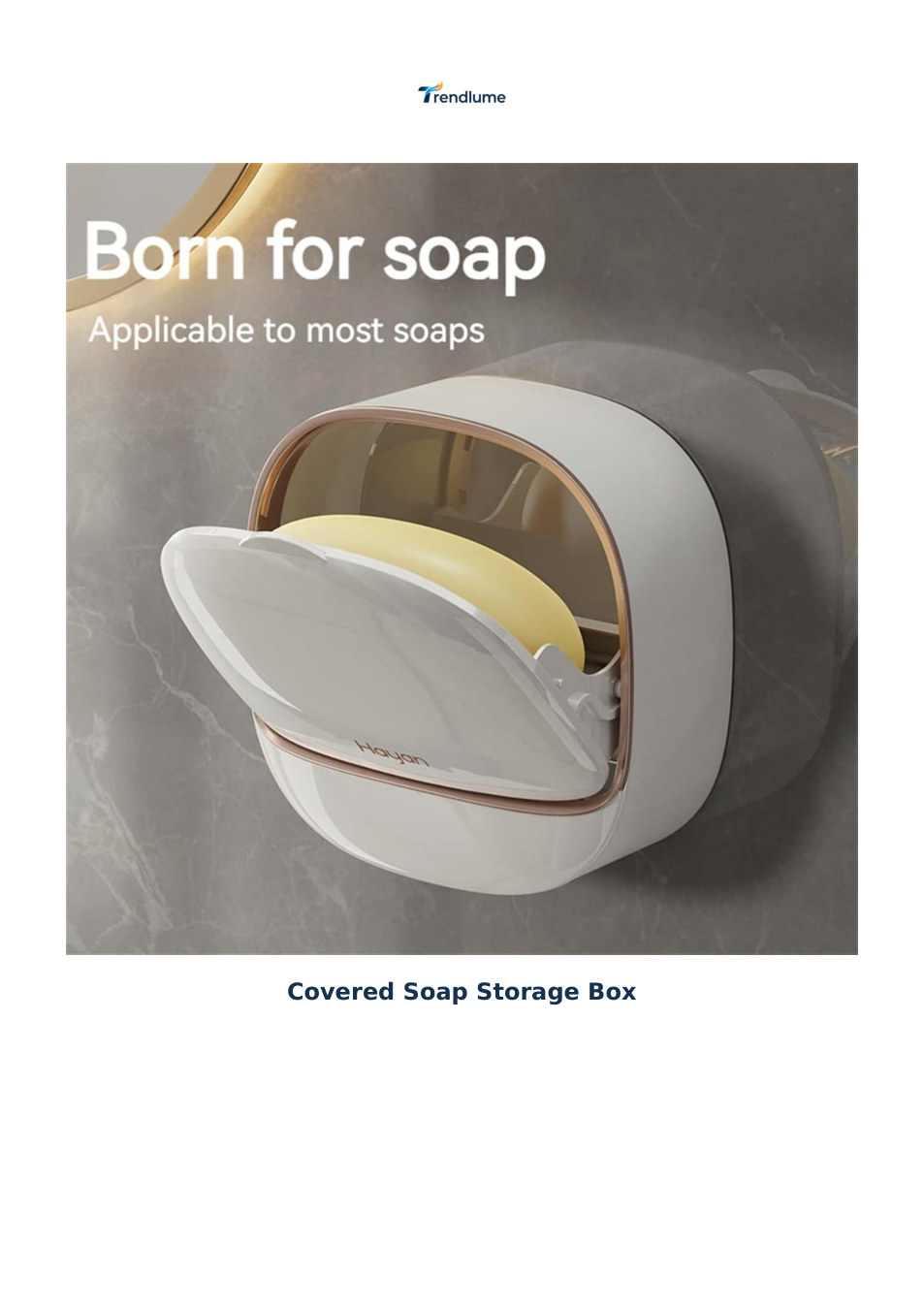 Covered Soap Storage Box